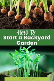 If you are working in a small area, you can start a garden from scratch with a stiff rake to break up the soil for planting. How To Start A Vegetable Garden From Scratch Beginner Backyard Gardening Frugal Family Home