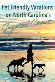 Welcome to fusion pet retreat. Best Pet Friendly Vacations On North Carolina S Crystal Coast