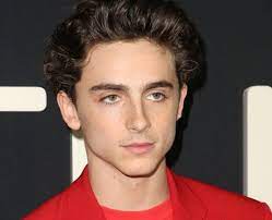 Timothée hal chalamet (born december 27, 1995) is an american actor. Timothee Chalamet S Age Films Net Worth And Other Facts You Need To Know Capital
