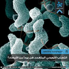 مرض التصلب اللويحي هو علة تصيب الجملة العصبية فتؤدي إلى ذهاب منافع الأعضاء أو نقصها وكذا الدماغ، ودرجة التضرر بهذا المرض تختلف من شخص إلى آخر ومن مرحلة من مراحل هذا. Ø§Ù„Ø¨Ø§Ø­Ø«ÙˆÙ† Ø§Ù„Ø³ÙˆØ±ÙŠÙˆÙ† Ù‡Ù„ ÙŠØ¨Ø¯Ø£ Ø§Ù„ØªØµÙ„Ø¨ Ø§Ù„Ù„ÙˆÙŠØ­ÙŠ Ø§Ù„Ù…ØªØ¹Ø¯Ø¯ Ù…Ù† Ø§Ù„Ø£Ù…Ø¹Ø§Ø¡