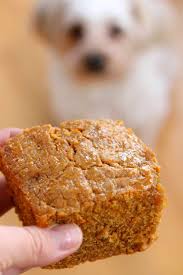 It's so healthy and delicious, your dogs are going to love it! Dog Cake Recipe The Cozy Cook