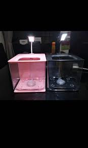 As seen on tv self cleaning fish tank 3. Self Cleaning Betta Fish Tank Pet Supplies For Fish Fish Tanks On Carousell