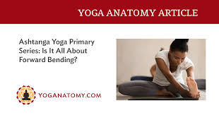 Image result for Primary Series