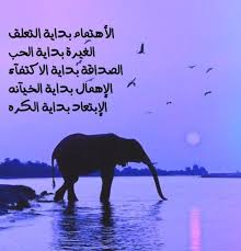 الإهتمام بداية التعلق الغيرة بداية الحب الصداقه بداية الإكتفاء الإهمال بداية الخيانة والإبتعاد بداية الك ره فكن واعي ل Love Words Words Quotes Words