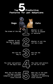 Patterns are combinations of colors in a specific layout. Can Data Science Help Us Save Animals By Adam Levenson Thinkful Medium