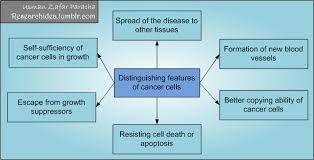 Cancer cells, therefore, are normal cells whose genes (several genes) have been damaged. Six Distinguishing Features Of Cancer Cells Saypeople
