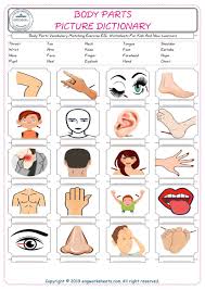 Free interactive exercises to practice online or download as pdf to print. Body Parts Printable Worksheets For Preschoolers Letter Worksheets