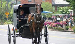 Check spelling or type a new query. 13 Top Amish Furniture Stores In Lancaster Pa Beyond For 2021
