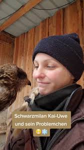 kein Affront gegen die Kai-Uwes dieser Welt 😜 #greifvogel #funny #witzig  #Wahrheit #schnee #snow #winter