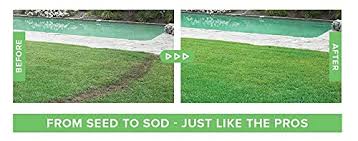Be mindful how you do it, particularly with one element — phosphorus. Hydro Mousse Liquid Lawn System Grow Grass Where You Spray It Made In Usa Pricepulse