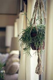 beautiful macrame plant hanging design マクラメの吊し飾り ハンギングプラント 吊し飾り