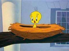 Jan 13, 2021 · caring for any puppy, purebred or mixed breed is a big responsibility. No Barking Tweety Supercartoons
