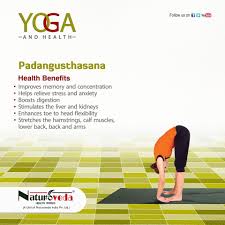 Padangusthasana Health Benefits Yoga Asanas Names Yoga Asanas Sahaja Yoga