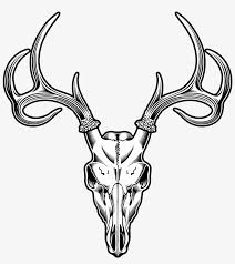 In this tutorial i'll show you everything you need to know about anatomy of cow, but also american. Deer Skull Drawing Illustration Deer Skull Vector Png Free Transparent Png Download Pngkey