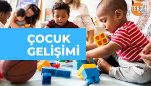 We did not find results for: Cocuk Gelisimi Bolumu Nedir Mezunlari Ne Is Yapar Ceotudent