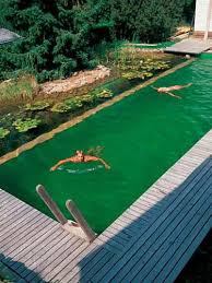 23 Breathtaking Natural Swimming Pools Natural Pool Natural Swimming Ponds Natural Swimming Pools