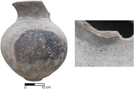 (a) true, (b) false, (c) false, (d) true. The Northern Neolithic Of The Western Himalayas New Research In The Kashmir Valley Sciencedirect