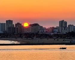 Image result for Faroa duvigneaud