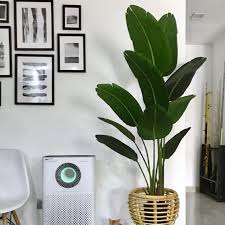 Dibandingkan dengan interior tanpa melibatkan bunga atau tanaman hijau, hiasan bunga dalam rumah mampu memberikan kesan lebih hidup. Ummihomedeco Tips Hiasan Rumah Dengan Pokok Tiruan 1 Facebook