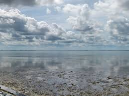 Dieser pinnwand folgen 902 nutzer auf pinterest. Weltnaturerbe Wattenmeer