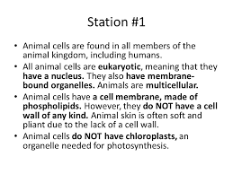 We did not find results for: Station 1 Animal Cells Are Found In All Members Of The Animal Kingdom Including Humans All Animal Cells Are Eukaryotic Meaning That They Have A Nucleus Ppt Download