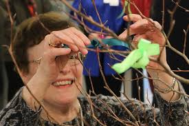 Northwest University