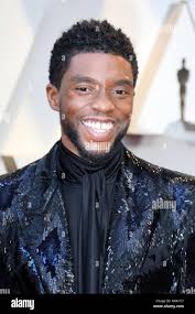 Chadwick hi-res stock photography and images