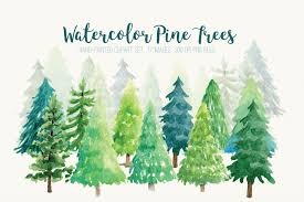 Watercolor Pine Trees Clip Art Graphic By Peachycottoncandy Creative Fabrica