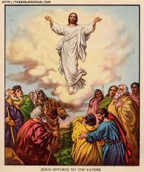 Life In The Light Bible Illustrations Ascension Of Jesus Batman