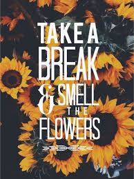 Take A Break Watch A Movie You Ve Been Meaning To See Or Check Out A Tv Show On Netflix Whatever Helps You Relax Your Mind Flower Quotes Words Quotes Words