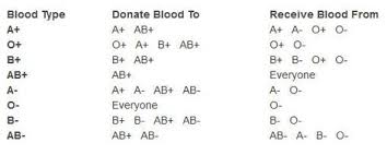 Blood Type Chart Facts And Information On Blood Group Types