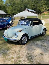 Image result for Delta Green 1968 Beetle