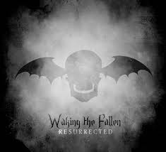 Birdman Put Some Respect On My Name Song Avenged Sevenfold Waking The Fallen