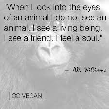 Save Them Follow Sophieeleana Vegan Quotes Animal Quotes Quotes