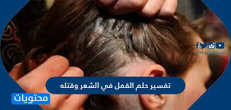تفسير حلم القمل في الشعر وقتله لابن سيرين والنابلسي وابن شاهين موقع محتويات
