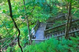 Are there waterfalls in florida. Haunted Waterfalls In Florida To Explore The Natural Spooky Lovetoknow