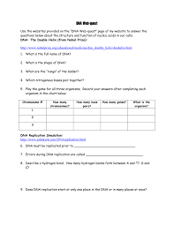 12 3 dna rna and protein. Dna Webquest Answers Key