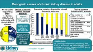 Monogenic Causes Of Chronic Kidney Disease In Adults Kidney International