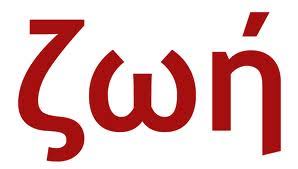 Eu Vim Para Que Tenham Zoe Meditacoes De Danny