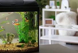 5 Of The Best Small Aquarium Filters Reviews Aquarium Filter 200 Gallon Fish Tank Aquarium