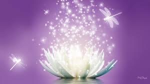 Maybe you would like to learn more about one of these? Lotus Flower Sparkle Wallpaper Water Wallpaper Better