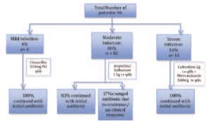 You can also see details of the guidelines we are currently developing. Pdf Does The National Antibiotic Guideline 2008 Remain Applicable For Treating Diabetic Foot Infection A New Evidence Based Regional Study On Culture And Sensitivity Patterns In Terengganu Population Semantic Scholar