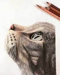 This series, entitled witnesses, presents how people feel about the world through the reflection in their eyes, drawn in pencil, acrylic and charcoal. How To Create Hyper Realistic Drawings Quora