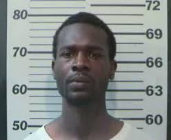 Guns, drugs and thousands of dollars seized during Maysville raids