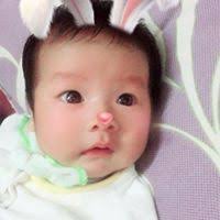 Nathan: A Pit-Fighting Dog by D. Brian Plummer