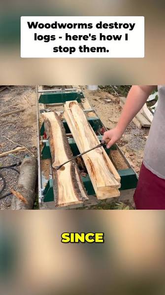 Woodworm logs often have bark where eggs are laid. Removing it disrupts their lifecycle. You can see the tracks and sawdust left behind by these pests. #woodworm #pestcontrol #logcare #woodworking | ...