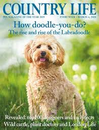 Can the net harness a bunch of volunteers to help bring books in the public domain to life through podcasting? Country Life Magazine 2020 03 04