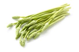 See asparagus plant stock video clips. Wild Asparagus And Wild Greens Mother Earth News