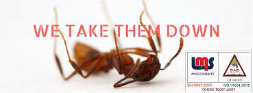 Best rated » san antonio tx » pest control companies. Apc Pest Control Home Facebook