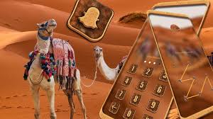600 x 753 jpeg 136 кб. Desert Camel Launcher Theme Pour Android Telechargez L Apk